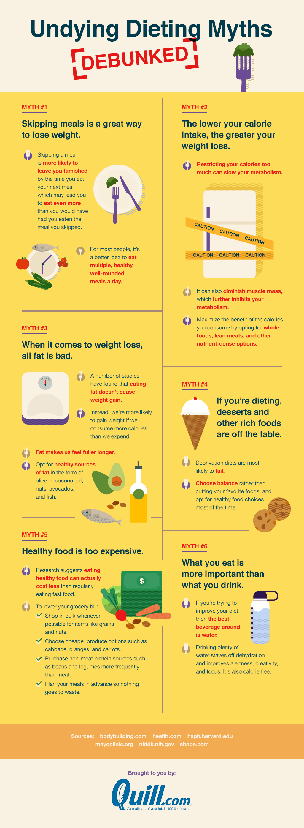 Undying-Dieting-Myths-Infographic-2a
