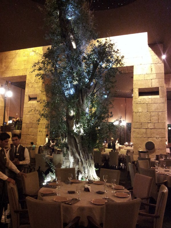 Babel Restaurant Dbayeh